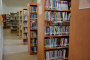 دسترسی رایگان اعضای کتابخانه‌های عمومی کرمانشاه به پایگاه‌های علمی معتبر/ بیش از ۲۷۰۰ مقاله تخصصی در اختیار پژوهشگران قرار گرفت