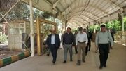 دبیر ستاد مرکزی اربعین: مرز خسروی مهیای میزبانی شایسته از زائران اباعبدالله (ع) است