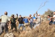 یورش اشغالگران به کرانه باختری؛ شهرک‌نشینان اراضی کشاورزی فلسطینیان را به آتش کشیدند