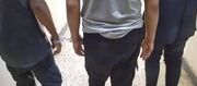 دستگیری ۳۰۱ سارق حرفه ای و کشف ۵۸ قبضه سلاح در دزفول