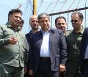 محل تکثیر گوزن زرد فندقلو توسعه می‌یابد/ حفاظت از محیط زیست، لازمه توسعه پایدار استان اردبیل