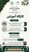 کارگاه آموزشی آسیب‌های اجتماعی در کرمانشاه برگزار می‌شود
