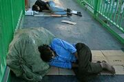 طرح کاهش آسیب‌های اجتماعی در شمال پایتخت آغاز شد