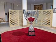بازگشت کاپ قهرمانی به کشتی ایران پس از 11 سال