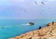 تداوم وزش باد و خیزش گردوخاک در استان بوشهر