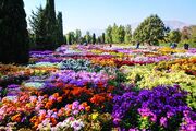 بوستان ۱۰ هکتاری گل‌ها در شمال بوستان گفت‌و‌گو به زودی افتتاح می‌شود