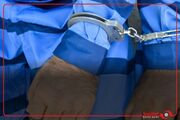 دستگیری عامل اخاذی با جعل عنوان مأمور اماکن و پلیس