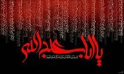 چرا امت اسلامی امام حسین (ع) را تنها گذاشت؟