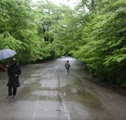رگبار و رعدوبرق در ۸ استان نوار شمالی کشور