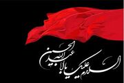 مجموعه اشعار منتخب مخصوص شب پنجم محرم