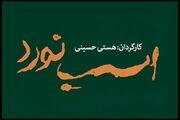 «اسب نورد» ۸ تیر به تالار قشقایی می‌رسد