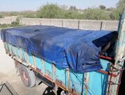 توقیف محموله ۵ تُنی شلتوک قاچاق در ايذه