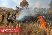 بیش از ۹۵ درصد حریق‌ جنگل‌ها و مراتع منشأ انسانی دارند
