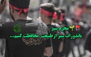 نذورات سبز؛ تجلی پیام عاشورا در صیانت از طبیعت و مسئولیت‌پذیری اجتماعی