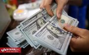 ثبات ارزی در گرو اصلاحات ساختاری است