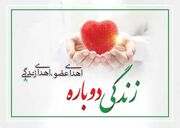 اهدای اعضای بدن دو شهروند قزوینی؛ تداوم امید در لیست انتظار پیوند اعضا