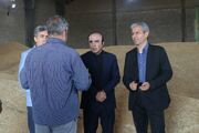 ‌ بیش از ۲۲۰هزار تن گندم در استان اردبیل خریداری شده است/ پیگیری مطالبات کشاورزان از سازمان برنامه و بودجه