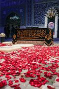 این بار آمدنت، شبیه همیشه نیست / روایت خادمان حضرت رضا (ع) از وداع با رهبر شهید + فیلم