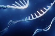 کشف RNA مرموزی که فقط در بدن زنان وجود دارد