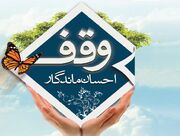 وقف ۵۷۰ میلیارد ریالی در میبد برای توسعه خدمات مذهبی و سلامت