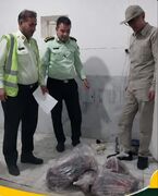 انهدام باند شکارچیان غیرمجاز در طبس