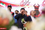 قلعه نویی: شجاعت پذیرفتن اشتباهاتم را دارم، نمی‌خواهم با فرار رو به جلو از زیر بار مسئولیت شانه خالی کنم