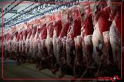 احتمال کاهش قیمت گوشت با افزایش واردات