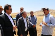 رتبه دوم لرستان در تولید نخود در کشور