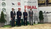 برترین سوارکاران جام آلفا معرفی شدند؛ حبیبی قهرمان شد