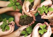 ۵۴۷ هزار «همیار طبیعت» برای حفاظت از منابع طبیعی ساماندهی شدند