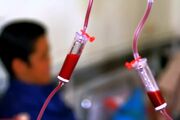 ۳۵۰ بیمار تالاسمی بوشهر نیازمند اهدای مستمر خون هستند