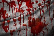 راز مرگ مرد ۷۲ ساله در تهرانپارس فاش شد/ مادر و پسر در پرونده قتل خانوادگی بازداشت شدند