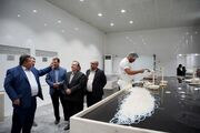 بازدید استاندار از واحد صادراتی آنا تجارت حقیقت و بررسی چالش‌های تولید