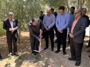 آغاز عملیات اجرایی مرکز سلامت روانی اجتماعی و داروخانه شبانه‌روزی زارچ