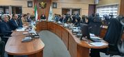 صادرات کیوی به هند با نظم و نظام دقیق دنبال می‌شود