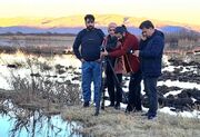 «خانه‌ای برای لک‌لک‌ها» آماده نمایش شد/ روایت سرنوشت مشترک انسان و پرنده در تالاب بیشه‌دالان