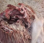 ۲ تن انواع فرآورده گوشتی غیر بهداشتی در قم کشف شد