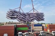 ۳.۲ میلیون تن کالای اساسی با وجود محدودیت‌ها ترخیص شد