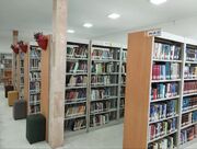 همدان با کمبود ۸۰۰ پرستار مواجه است