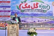 تکمیل زنجیره ارزش سیب و توسعه صنایع تبدیلی اولویت اصلی اقتصاد سمیرم است