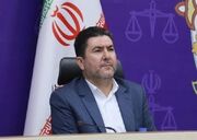 فولیان: اعتیاد، خشم فروخورده و ناتوانی در حل اختلافات از عوامل قتل‌های خانوادگی است