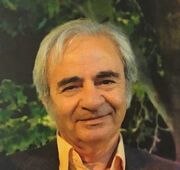 محمد میرشکرایی معمار ثبت جهانی نوروز درگذشت