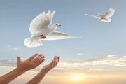 آزادی ۱۳۱ زندانی غیر عمد یزدی در نیمه نخست سال ۱۴۰۵