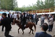 بیست‌ویكمین جشنواره زیبایی اسب كاسپین در باشگاه سواركاری تك‌تاز برگزار شد