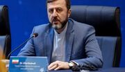 غریب‌آبادی: آمریکا و رژیم اسرائیل مظهر عریان خشونت دولتی هستند
