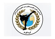انتصاب دبیر کمیته رسانه‌ای سبک ورزشی تای بو در کشور