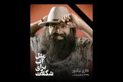 طارق نیکپور هنرمند موسیقی هرمزگان درگذشت