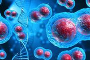 کشف نقطه‌ضعف DNA‌های سرگردان سرطان