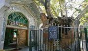 جست‌وجوی طهران در کوچه‌های امامزاده یحیی