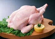 قیمت انواع گوشت مرغ تازه و بسته بندی و قطعه بندی اعلام شد